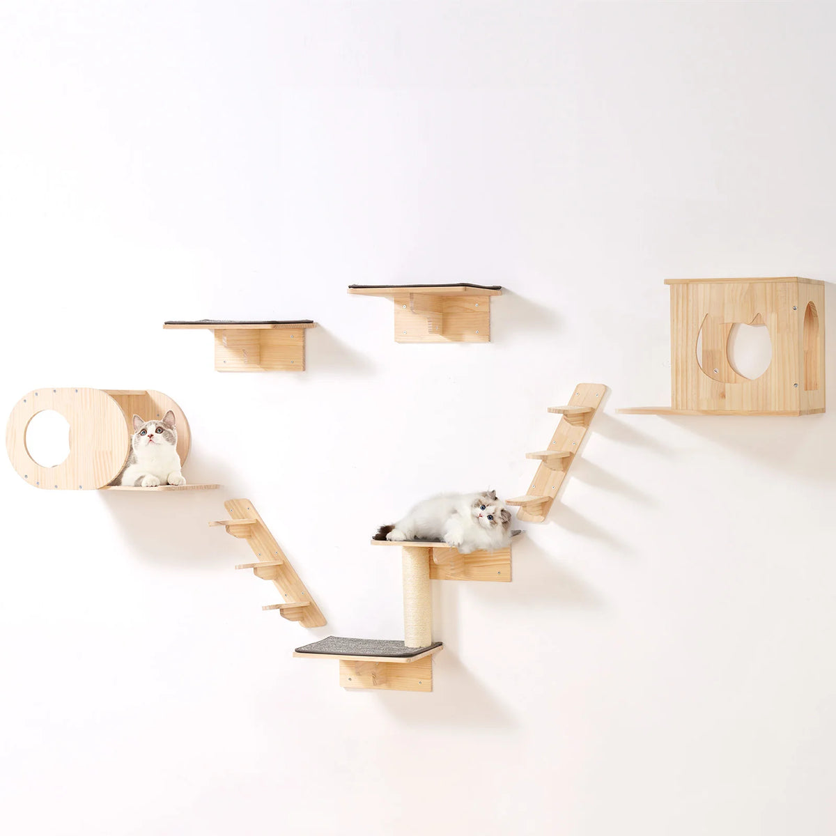 Succebuy Heavy Duty Wall Mounted Cat Shelves With Hammocks