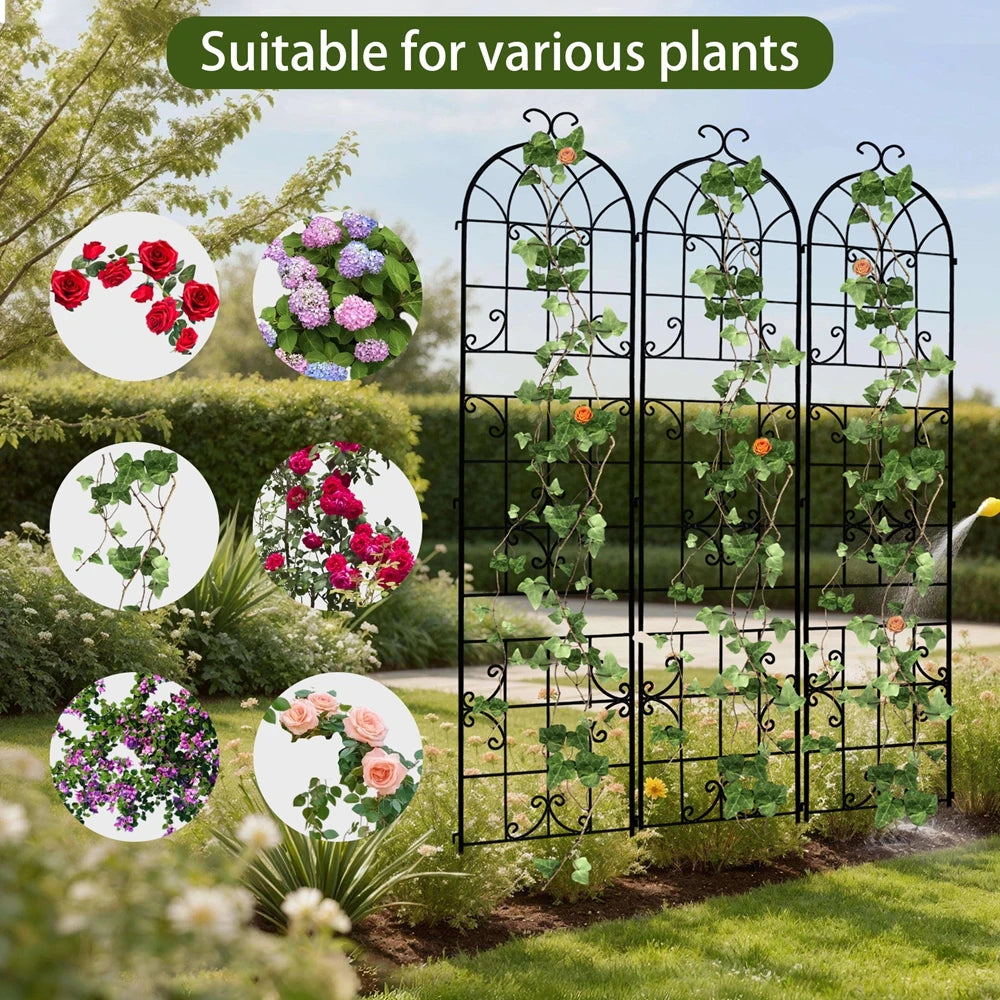 Three-Pack Tall Metal Garden Trellis for Climbing Plants and Vines