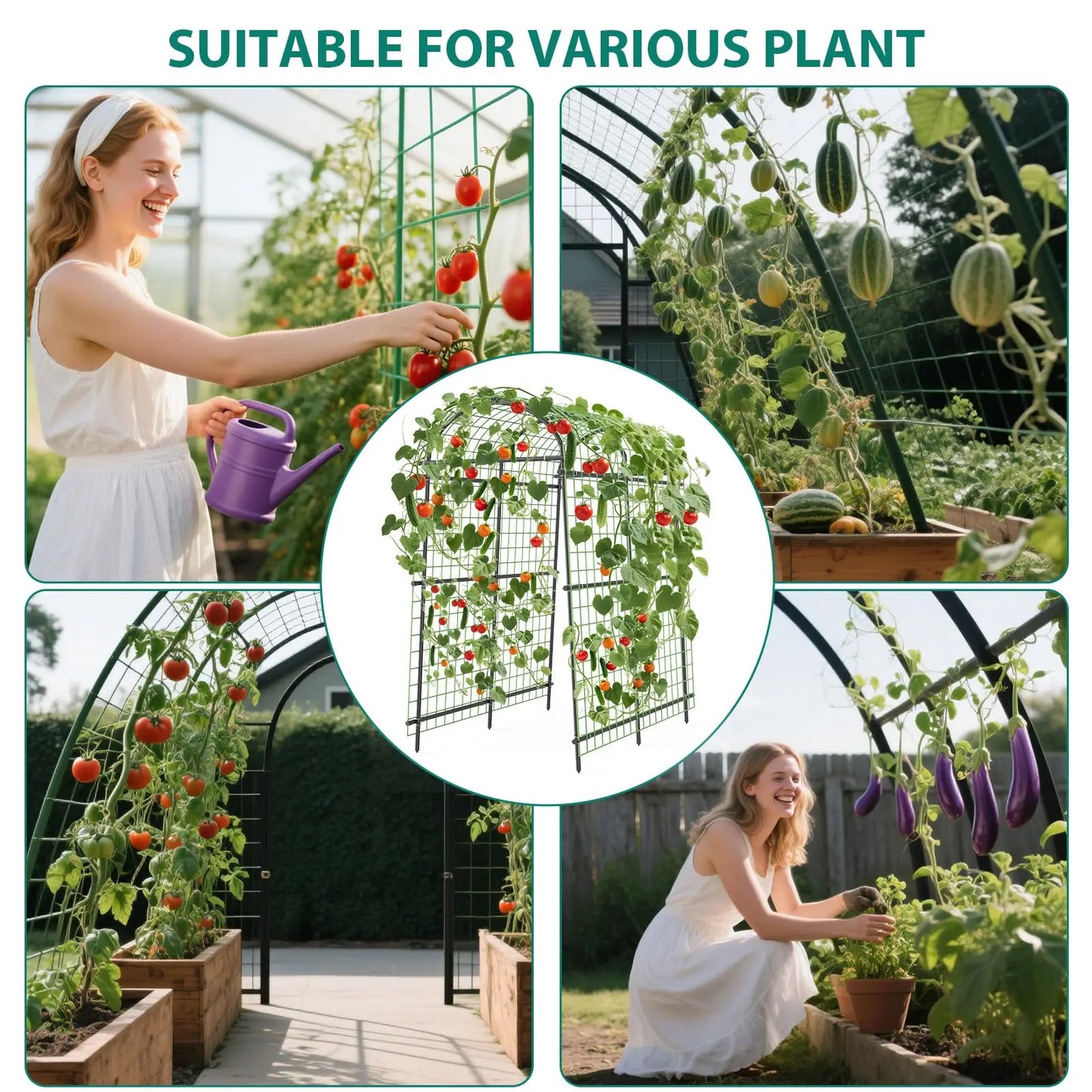 Black Metal Garden Arch Trellis For Climbing Plants Vegetable Support