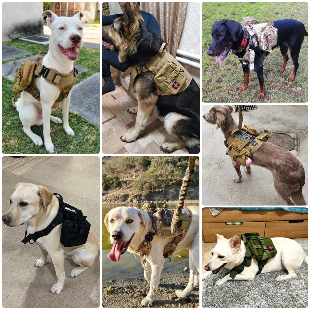Tactical Dog Harness Leash Set For Large Malinois No Pull