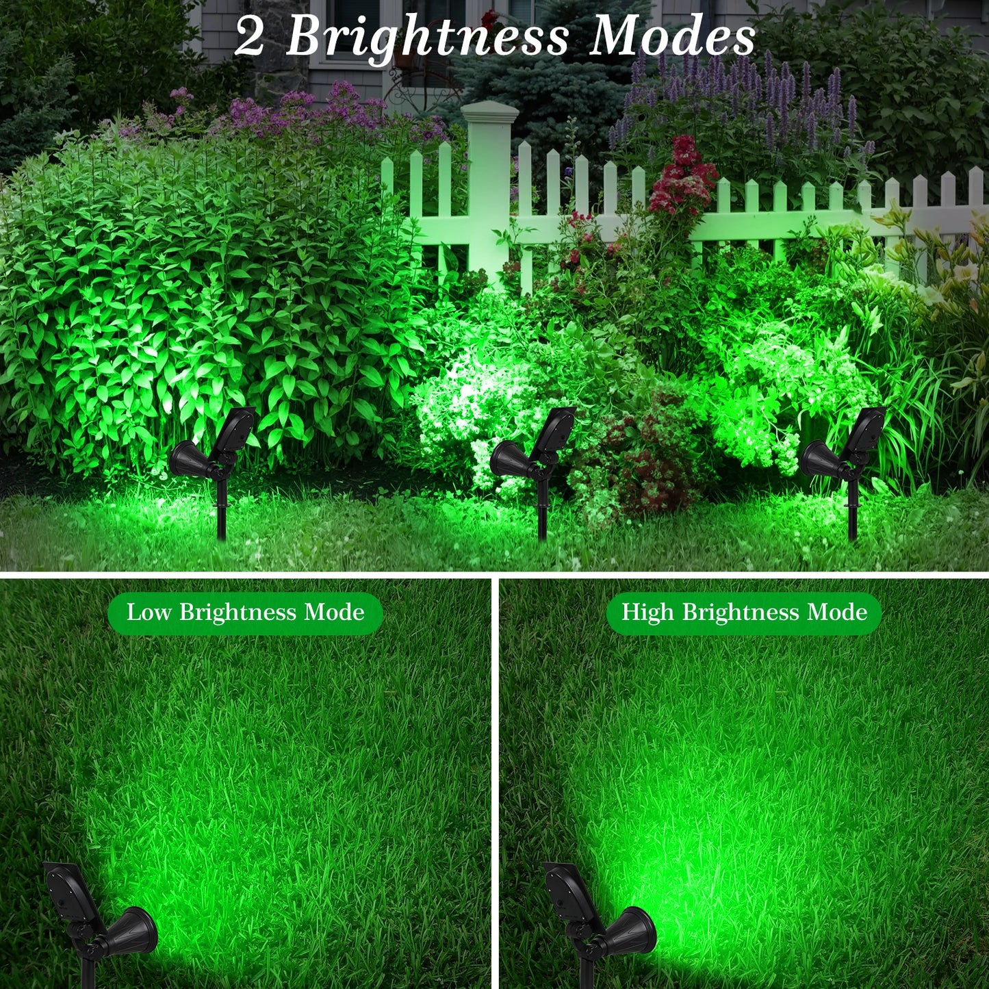 T-SUNRISE LED Solar Lights Outdoor Spotlight IP65 Waterproof Garden